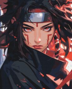 Розпис по номерах 40х50 BS54072 Ніндзя brushme Брашми