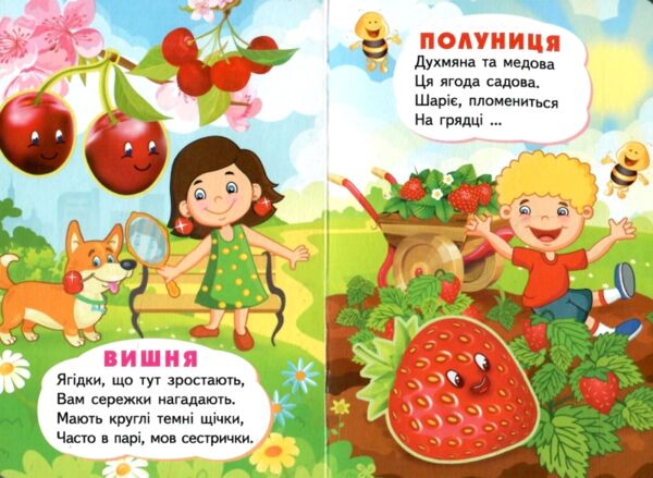 Учимося з мамою Вчимо фрукти картонка формат а6 Ціна (цена) 19.50грн. | придбати  купити (купить) Учимося з мамою Вчимо фрукти картонка формат а6 доставка по Украине, купить книгу, детские игрушки, компакт диски 1