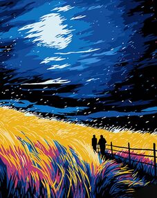 Розпис по номерах 40х50 AH1067 Зоряна ніч на чорному фоні "Strateg"