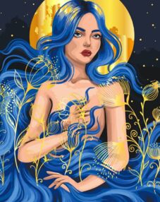 Розпис по номерах 40х50 10128-АС Танок ночі металік "Art Craft" арт крафт