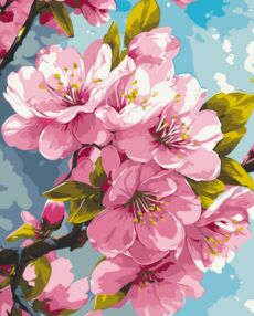 Розпис по номерах 40х50 13099-АС Цвіт сакури "Art Craft" арт крафт