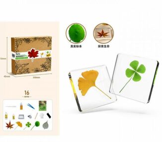 Набір для творчості сухоцвіт  FG231102005M