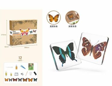 Набір для творчості метелик FG231102007M