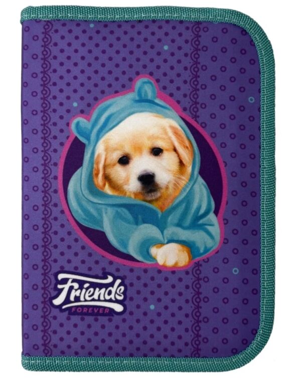 Пенал CLASS 1 відділення 2 відвороти на блискавці Friends 24201C Ціна (цена) 209.90грн. | придбати  купити (купить) Пенал CLASS 1 відділення 2 відвороти на блискавці Friends 24201C доставка по Украине, купить книгу, детские игрушки, компакт диски 0