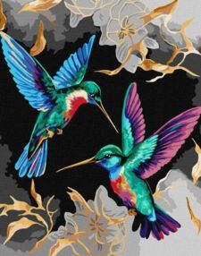 Розпис по номерах 40х50 КНО6590 Танець колібрі з фарбами металік "Ідейка"