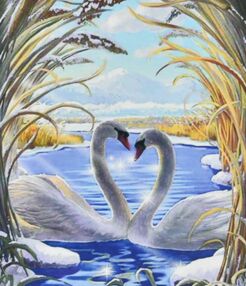 Алмазна мозаїка 30х40 HEG84461 Любов лебедів "Strateg"