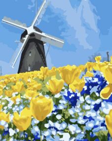 Розпис по номерах 40х50 VA-3737 Вітряк на полі "Strateg"