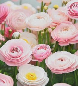 Алмазна мозаїка 30х40 HEG88142 Пелюстки мрії "Strateg"