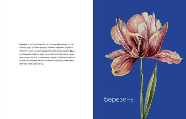 Квіти Перемоги Мотиваційний планувальник Ціна (цена) 336.50грн. | придбати  купити (купить) Квіти Перемоги Мотиваційний планувальник доставка по Украине, купить книгу, детские игрушки, компакт диски 4