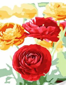 Розпис по номерах 30х40 SS1012 Шикарні півонії "Strateg"