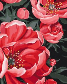 Розпис по номерах 40х50 BS54055 Квітковий етюд brushme Брашми