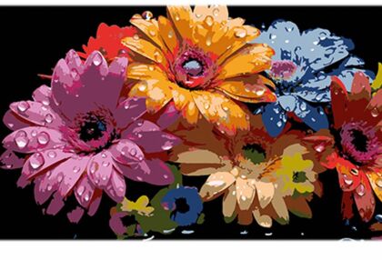 Розпис по номерах 50х25 BH5025-10 Феєричні гербери на чорному фоні "Strateg"