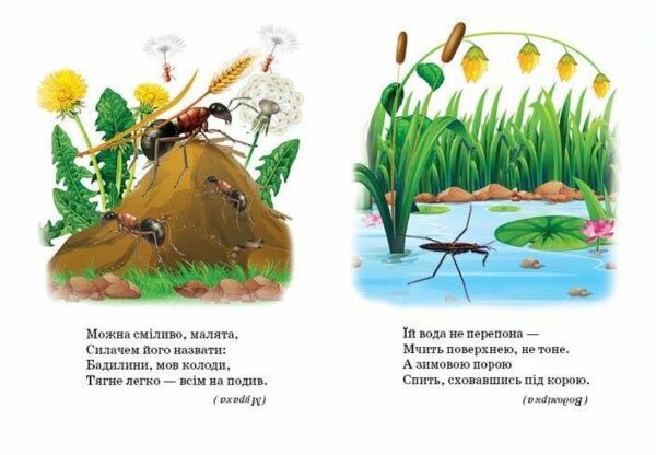 Комахи книжка картонка а5 Ціна (цена) 21.30грн. | придбати  купити (купить) Комахи книжка картонка а5 доставка по Украине, купить книгу, детские игрушки, компакт диски 2