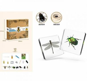 Набір для творчості комаха   FG231102006M
