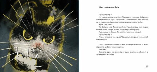 Василина та трипільський слід Ціна (цена) 345.00грн. | придбати  купити (купить) Василина та трипільський слід доставка по Украине, купить книгу, детские игрушки, компакт диски 4