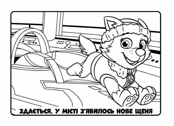 щенячий патруль розмальовка кольорові пригоди ловіть хвилю Ціна (цена) 34.10грн. | придбати  купити (купить) щенячий патруль розмальовка кольорові пригоди ловіть хвилю доставка по Украине, купить книгу, детские игрушки, компакт диски 2
