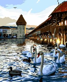 Розпис по номерах 30х40 SS6475 Лебеді на воді "Strateg"