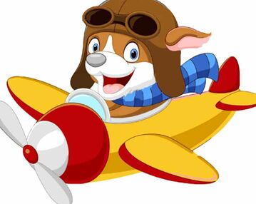 Розпис по номерах 30х40 SS-6733 Песик у літаку "Strateg"