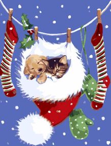 Розпис по номерах 30х40 SS-6816 Сон в шапочці "Strateg"