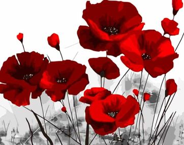 Розпис по номерах 40х50 DY410 Яскраві маки "Strateg"