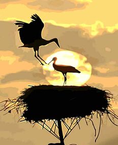 Розпис по номерах 40х50 DY417 Дім лелек "Strateg"