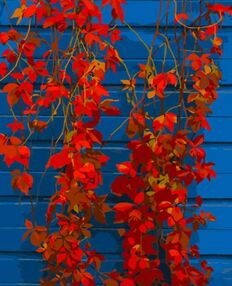 Розпис по номерах 40х50 DY424 Червоні квіти "Strateg"