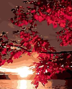 Розпис по номерах 40х50 DY427 Багряний захід сонця "Strateg"