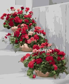 Розпис по номерах 40х50 GS1223 Квітучі вазони "Strateg"