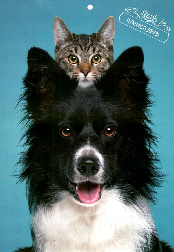 календар 2024 настінний прямокутний вертикальний на скобі Ціна (цена) 11.00грн. | придбати  купити (купить) календар 2024 настінний прямокутний вертикальний на скобі доставка по Украине, купить книгу, детские игрушки, компакт диски 0