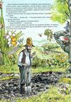 петсон фіндус і переполох на городі казка Ціна (цена) 235.50грн. | придбати  купити (купить) петсон фіндус і переполох на городі казка доставка по Украине, купить книгу, детские игрушки, компакт диски 2