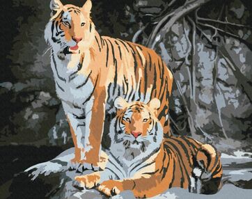 Розпис по номерах 40х50 BS52793 Дикі тигри brushme Брашми