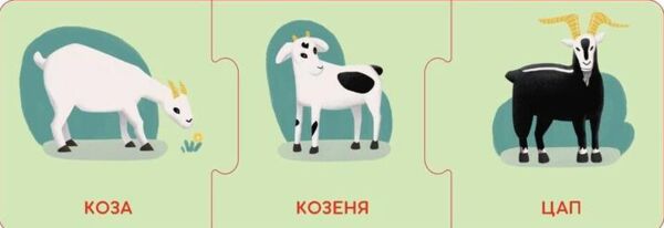 логічні ланцюжки малюки тварини та їхні родини  коробка Ціна (цена) 118.80грн. | придбати  купити (купить) логічні ланцюжки малюки тварини та їхні родини  коробка доставка по Украине, купить книгу, детские игрушки, компакт диски 2