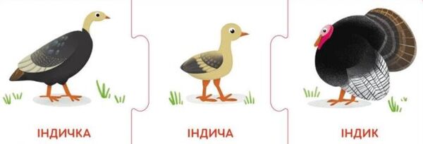 логічні ланцюжки малюки тварини та їхні родини  коробка Ціна (цена) 118.80грн. | придбати  купити (купить) логічні ланцюжки малюки тварини та їхні родини  коробка доставка по Украине, купить книгу, детские игрушки, компакт диски 3