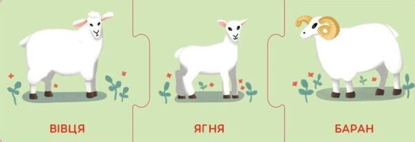 логічні ланцюжки малюки тварини та їхні родини  коробка Ціна (цена) 118.80грн. | придбати  купити (купить) логічні ланцюжки малюки тварини та їхні родини  коробка доставка по Украине, купить книгу, детские игрушки, компакт диски 4