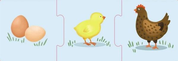 Логічні ланцюжки тварини і рослини етапи розвитку  коробка Ціна (цена) 118.80грн. | придбати  купити (купить) Логічні ланцюжки тварини і рослини етапи розвитку  коробка доставка по Украине, купить книгу, детские игрушки, компакт диски 4