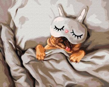 Розпис по номерах 40х50 BS53482 Спляча красуня brushme Брашми