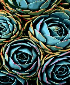 Розпис по номерах 40х50 GS1476 Сині квіти "Strateg"