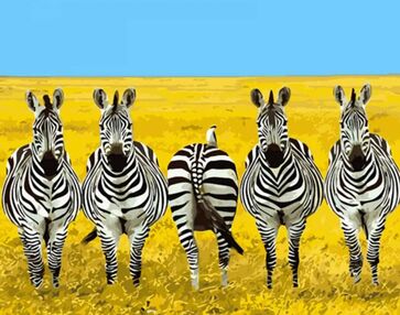 Розпис по номерах 40х50 GS1521 П'ятірка зебр "Strateg"