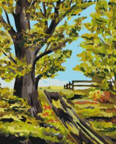 Розпис по номерах 40х50 BS53960 Старий дуб brushme Брашми