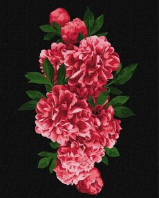 Розпис по номерах 40х50 КНО3095 Пристрасні півонії  "Ідейка"