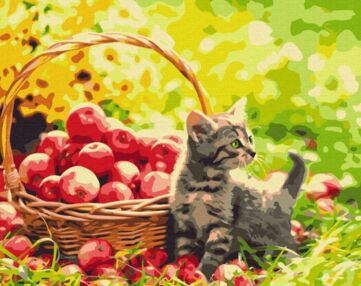 Розпис по номерах 40х50 BS52657 Яблучний котик brushme Брашми