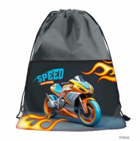 Сумка для взуття Leader 979556 Швидкість 46х32см