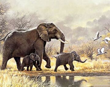 Алмазна мозаїка 30х40 HEG86897 Сімейство слонів "Strateg" Алмазна мозаїка 30х40 HEG86897 Сімейство слонів "Strateg"