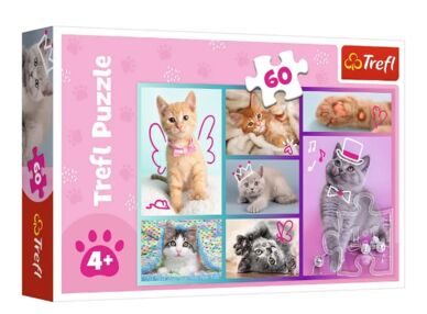 пазли 60 елементів Милі котики Trefl 17373