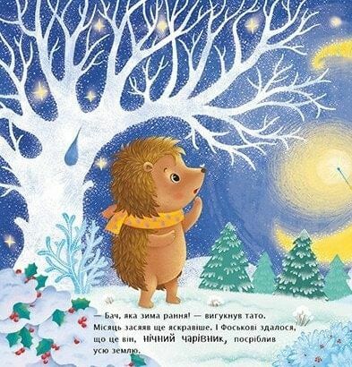 Рік їжачка Фось-Фося Що таке зима Ціна (цена) 217.50грн. | придбати  купити (купить) Рік їжачка Фось-Фося Що таке зима доставка по Украине, купить книгу, детские игрушки, компакт диски 1