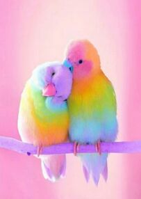 Алмазна мозаїка 30х40 GD76114 Милі папуги "Strateg"