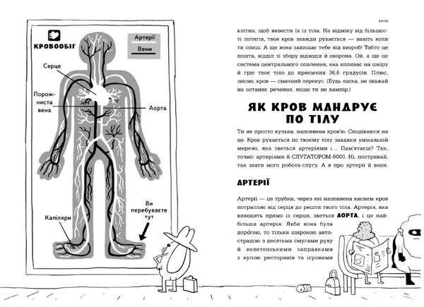 анатомія для дітей Ціна (цена) 389.00грн. | придбати  купити (купить) анатомія для дітей доставка по Украине, купить книгу, детские игрушки, компакт диски 7