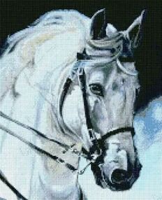 Алмазна мозаїка 40х50 АМО7394 Гордий кінь "Ідейка"