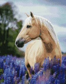 Алмазна мозаїка 40х50 АМО7395 Прогулянка лавандовим полем "Ідейка"