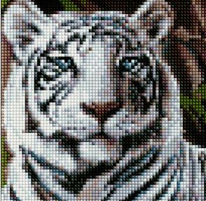 Алмазна мозаїка б/підрамн 20х20 АМС7681 Бенгальський тигр "Ідейка"